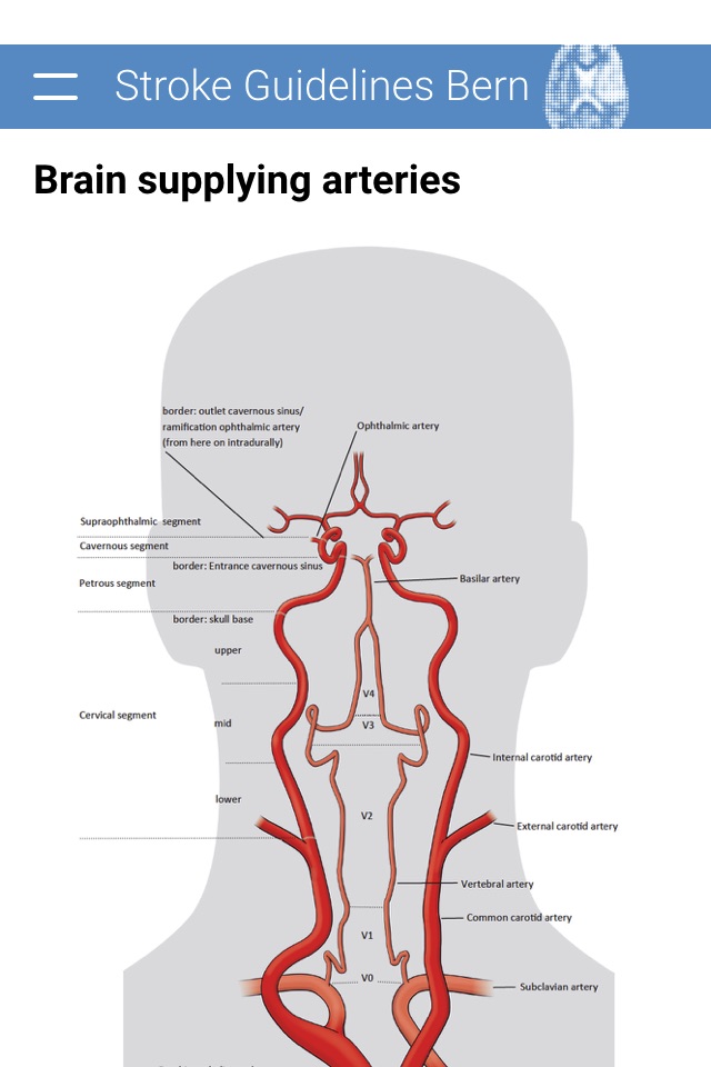 Stroke Guidelines Bern screenshot 4