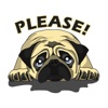 Funny and cute Fawn Pug sticker