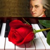 The Best of Piano Music