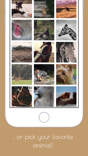 Animals Puzzle - Play with your favorite animals(圖4)-速報App