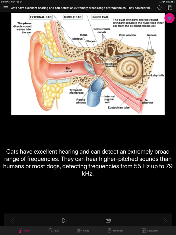 Human Anatomy Ears Facts, Quiz screenshot 4