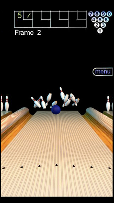 300 Bowl LE Screenshot 3