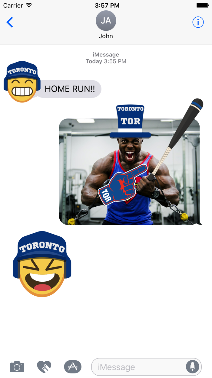 Toronto Baseball Stickers  Emojis