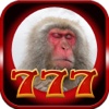 Monkey Slot : 777 Jackpot Casino
