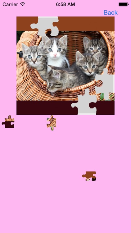 Kitten Jigsaw Puzzles