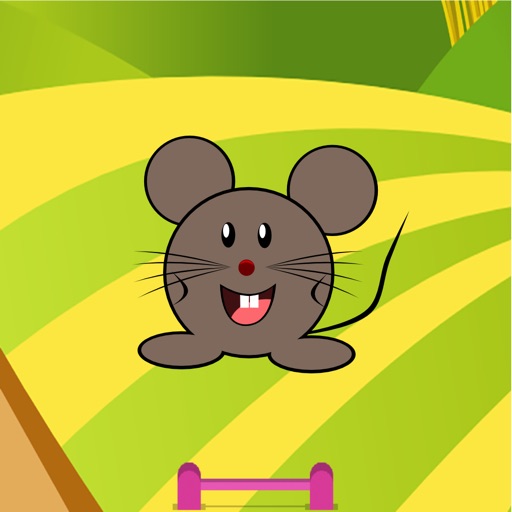 Funny Mouse Game