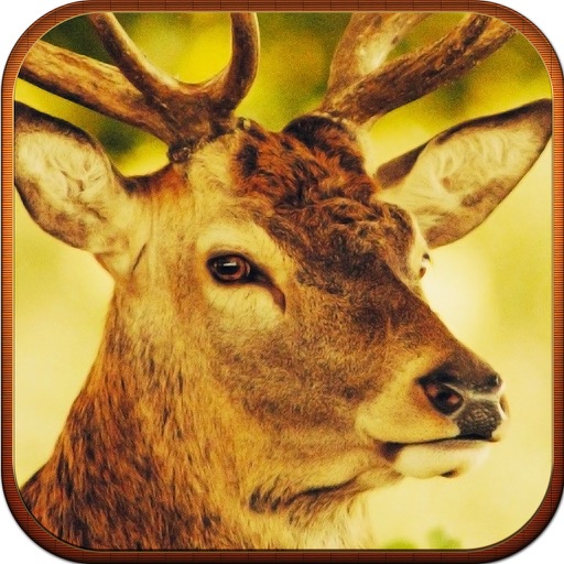 Deer Hunter Elite Challenge Showdown iOS App