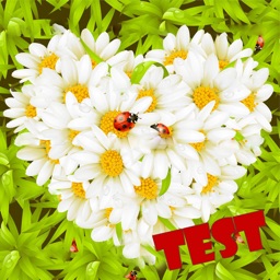 Test of Love flower