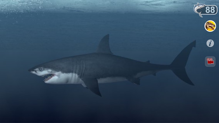 Talking Great White : My Pet Shark screenshot-3