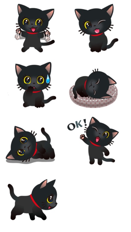 Best Black Cat Stickers screenshot-4