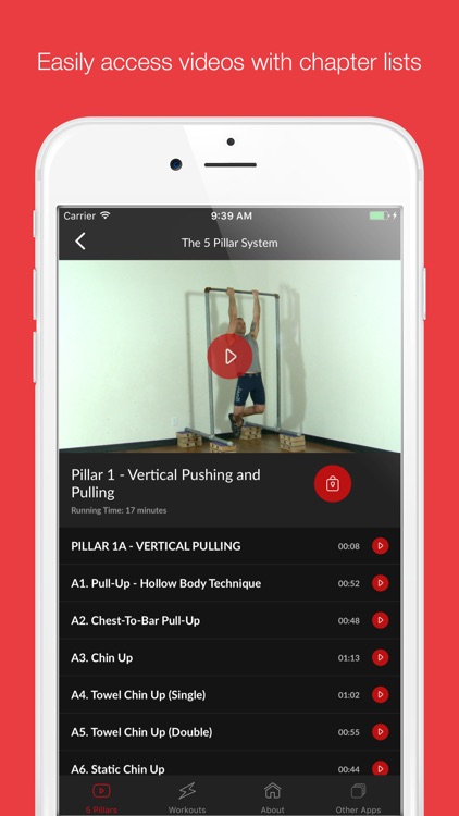 Steve Maxwell's 5 Pillars System