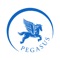 Mobile App to book and manage Pegasus reservations