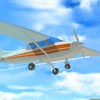 Icon Airplane Crash Pilot Simulator