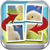Baby Animal Puzzle Slide Picture Game Lite Edition