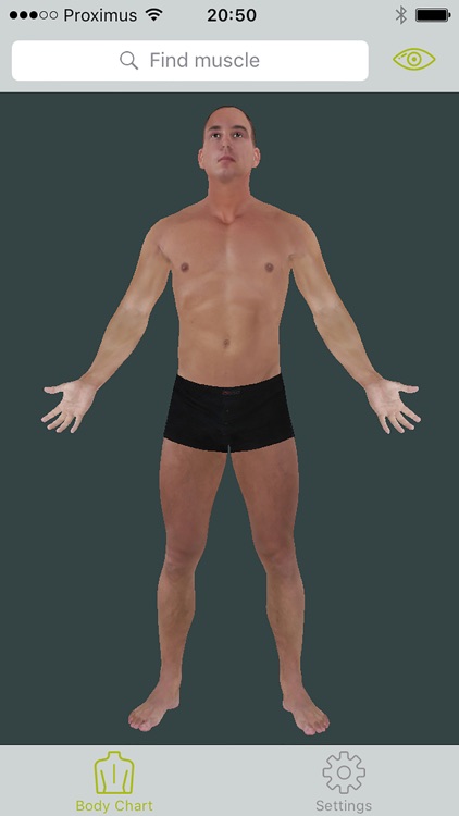 Dry Needling Guide