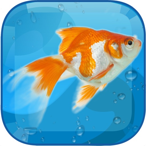 AquaLife 3D Icon