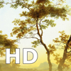 西洋絵画 HD - Macsoftex