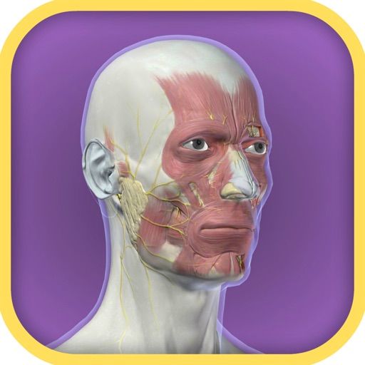 3D Facial Anatomy Tool