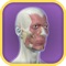The Facial Anatomy application uses 3D interactive models to allow users to explore in detail the various areas of facial anatomy (forehead, nose, eye, chin, ear, neck and scalp) and aid in discussions between patients and their healthcare providers