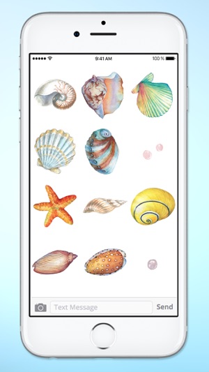 Beach Lover Sea Shells Sticker Pack(圖5)-速報App