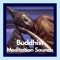 Buddhist Meditation Sounds is the Best app for those who want to increase their awareness and enlighten