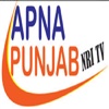 Apna Punjab NRI TV