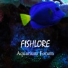 Fishlore Aquarium Fish Forum