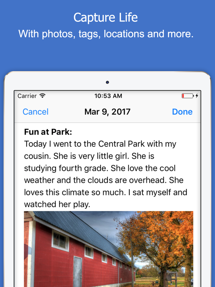 Reminisce Journal Diary Notes