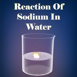 Reaction Of Sodium In Water