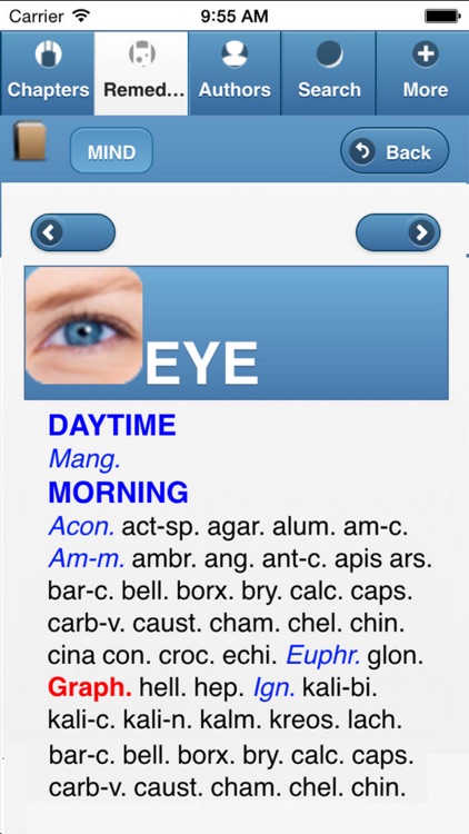 Synthesis English Lite