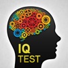IQ Test Compact