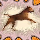Top 40 Games Apps Like 3D Dog Stunts Simulator - Best Alternatives