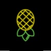 Icon Truth or Pineapple