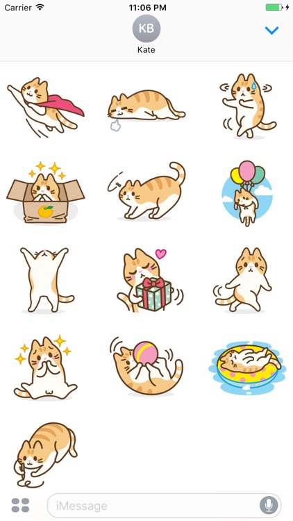 Miley The Lovely Funny Cat Sticker