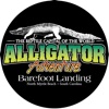 Alligator Adventure
