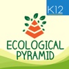 Ecological Pyramid