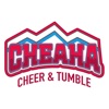 Cheaha Cheer