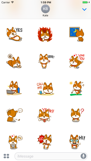 Little Corgi Animated Sticker(圖3)-速報App