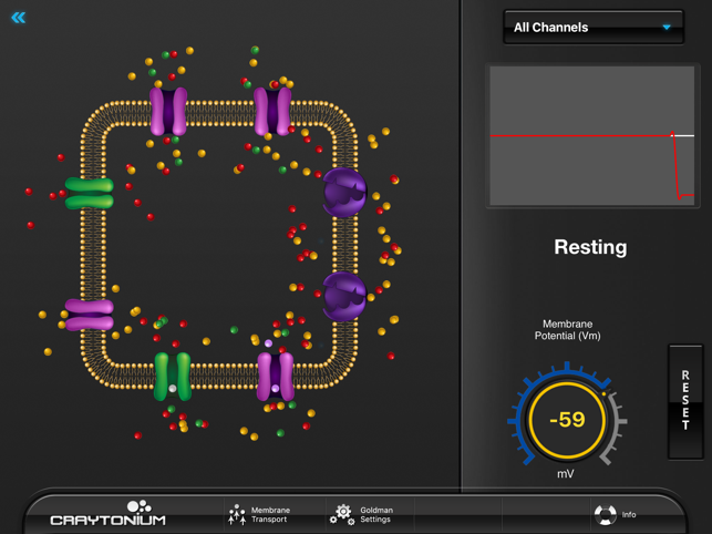 Craytonium Interactive Neurophysiology(圖2)-速報App