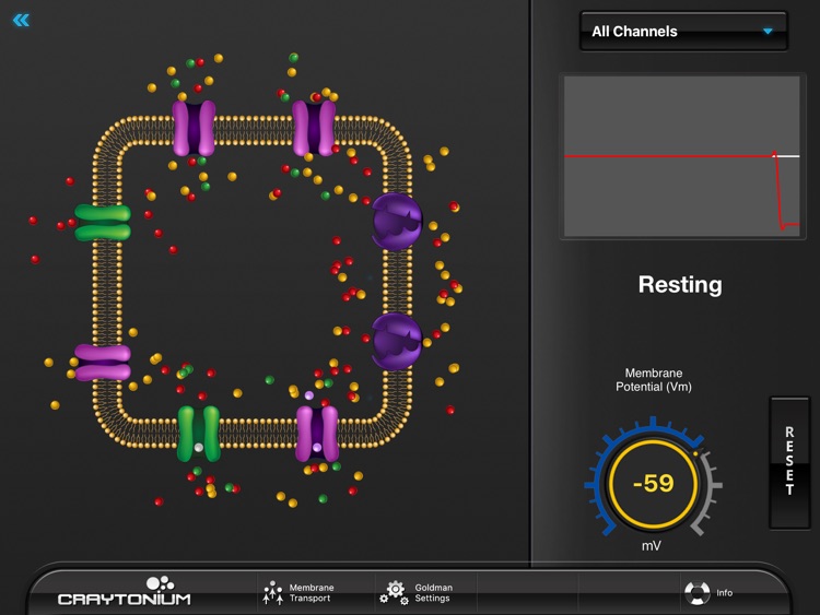 Craytonium Interactive Neurophysiology