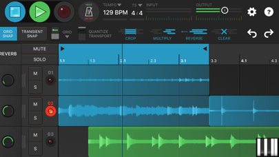 Looperverse – Multitrack Loop Recorder Screenshot 2