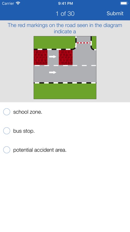 Basic Theory Test (BTT SG) screenshot-3