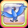 Bouncy Brazil Birds - Rio to Amazon Adventure Game