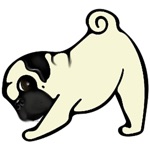 4 Paws Merch