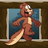 Squirrel Jump games : fun and jumping on the tree