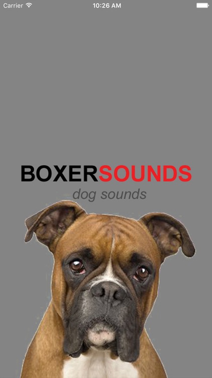 Boxer Dog Sounds & Barking