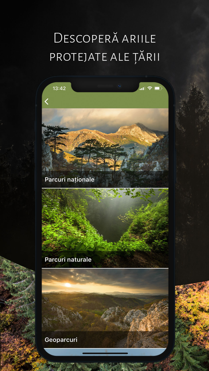 România Sălbatică