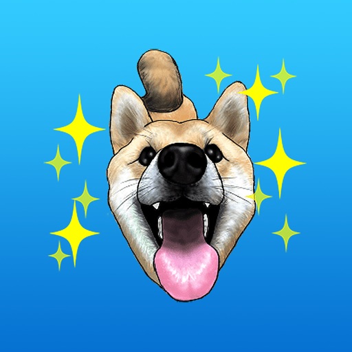 Cool Shiba Inu Expressions Stickers icon