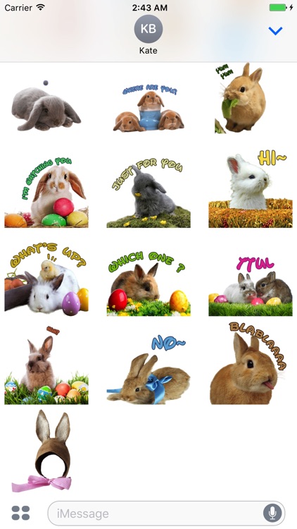 Cutest Easter Bunny Animated Stickers