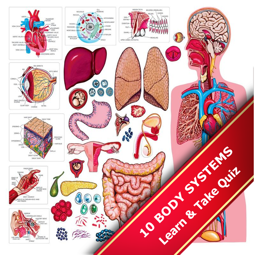 Get The Human Body Systems for iOS, iPhone, iPad Aso Report